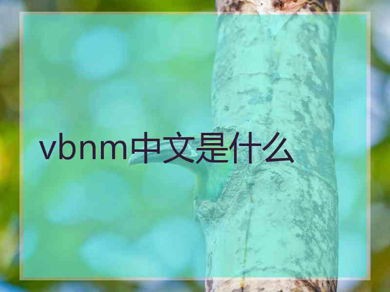 vbnm中文是什么