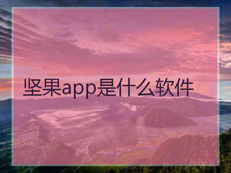 坚果app是什么软件