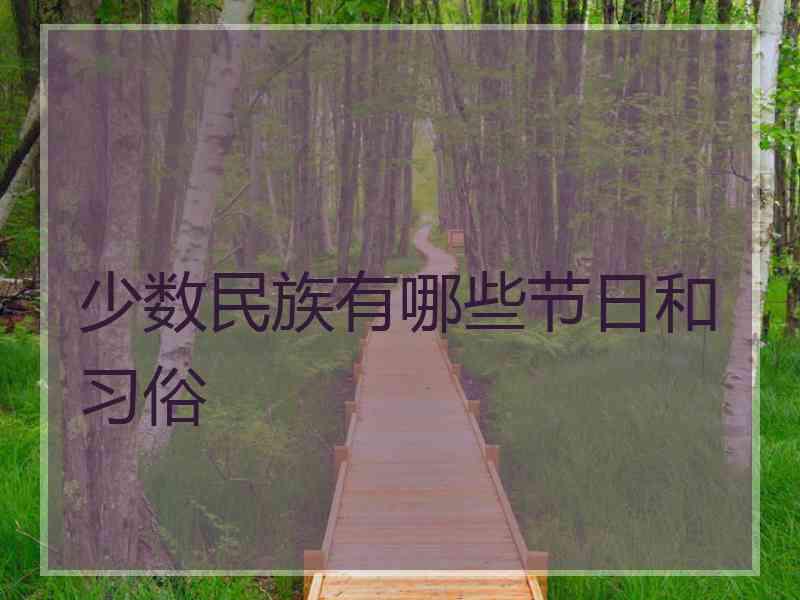 少数民族有哪些节日和习俗