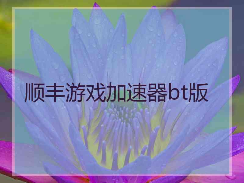 顺丰游戏加速器bt版