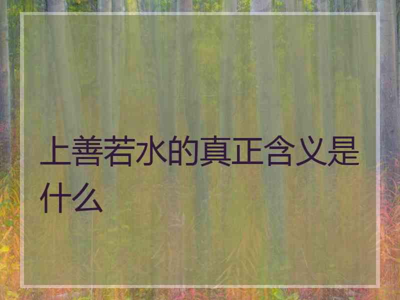 上善若水的真正含义是什么