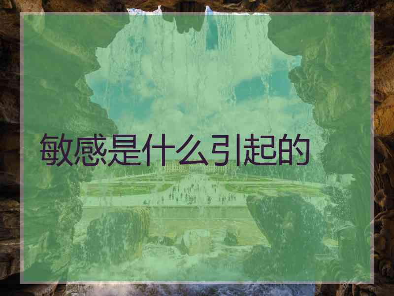 敏感是什么引起的