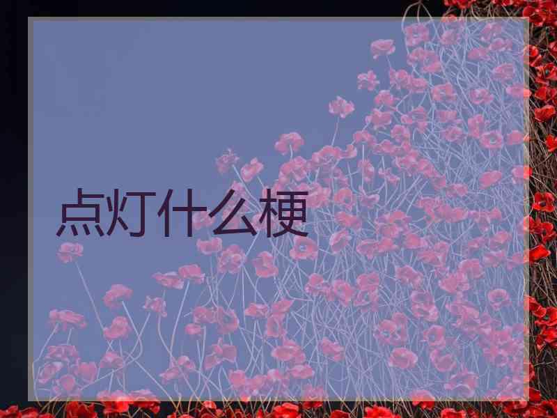 点灯什么梗