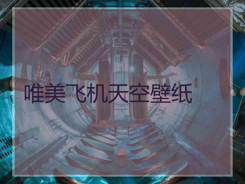 唯美飞机天空壁纸