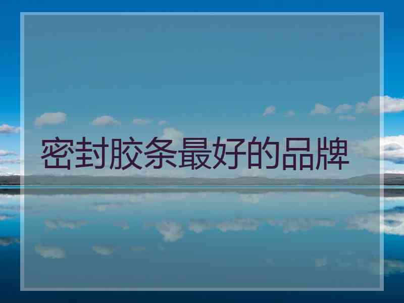 密封胶条最好的品牌