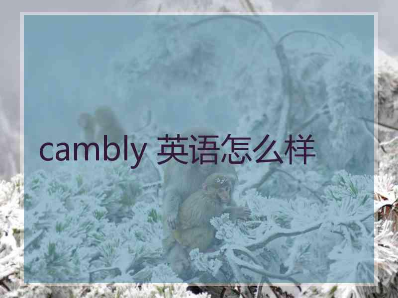 cambly 英语怎么样