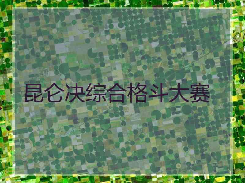 昆仑决综合格斗大赛