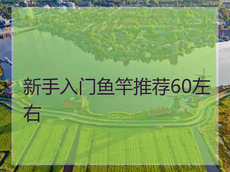 新手入门鱼竿推荐60左右