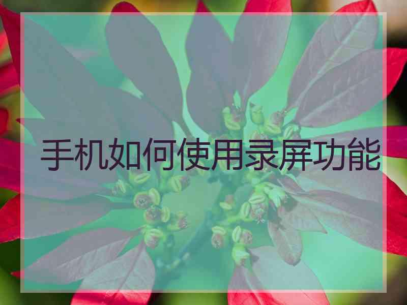 手机如何使用录屏功能