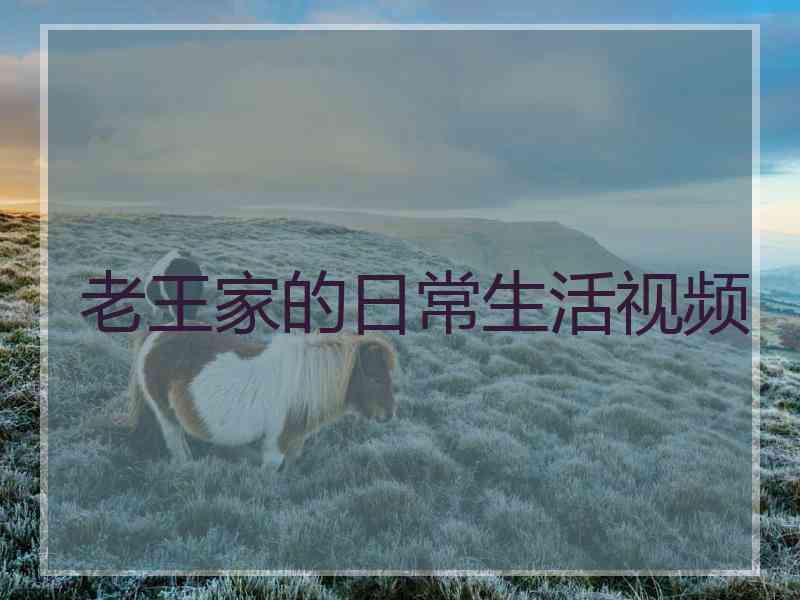 老王家的日常生活视频