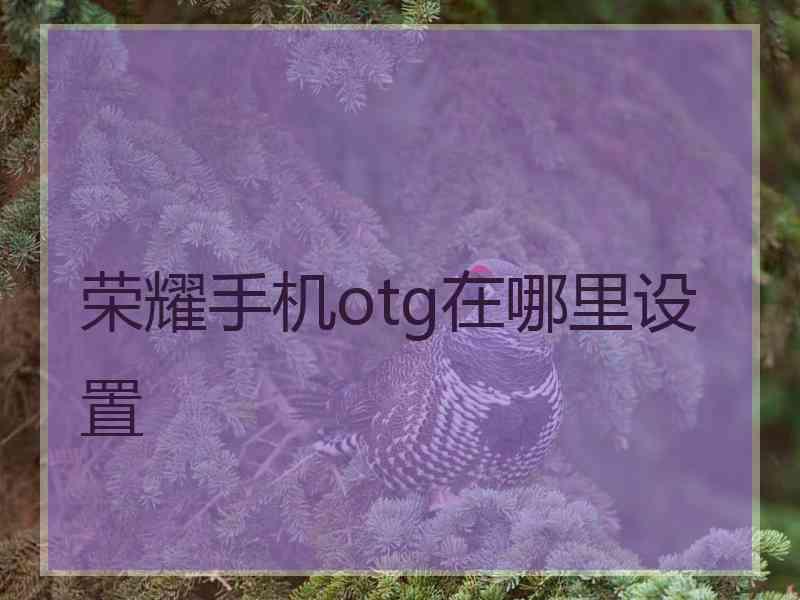 荣耀手机otg在哪里设置