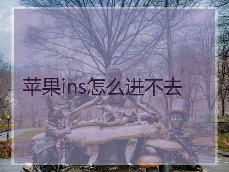 苹果ins怎么进不去