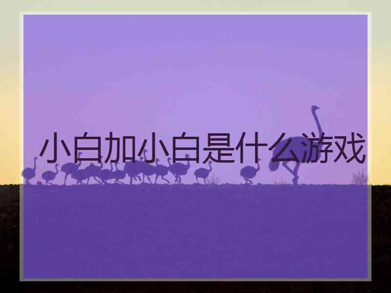 小白加小白是什么游戏