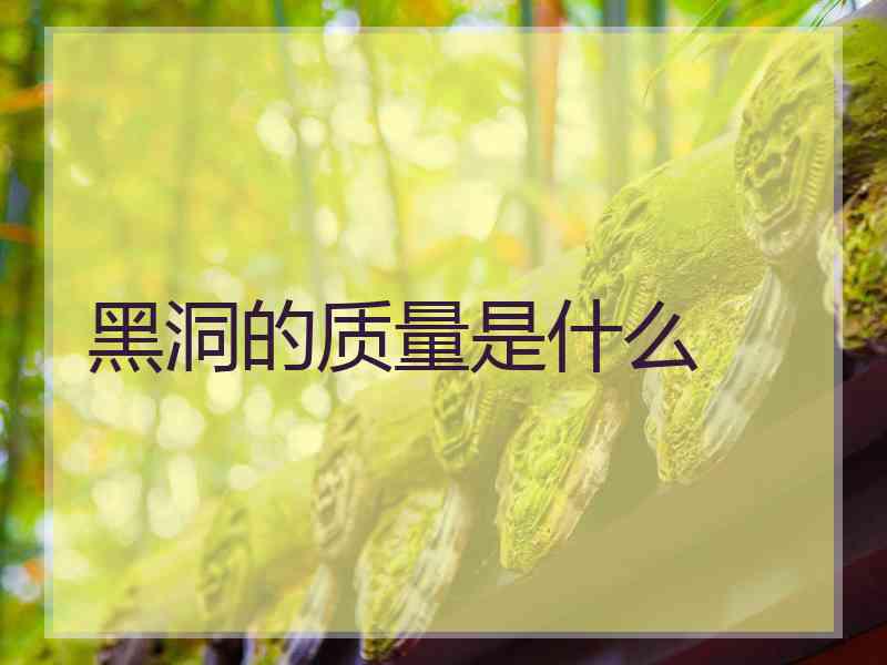 黑洞的质量是什么