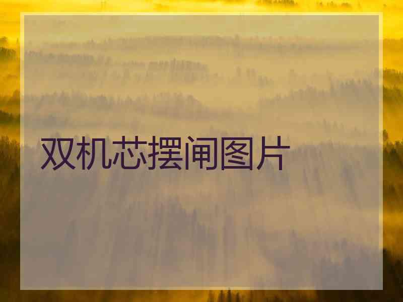 双机芯摆闸图片