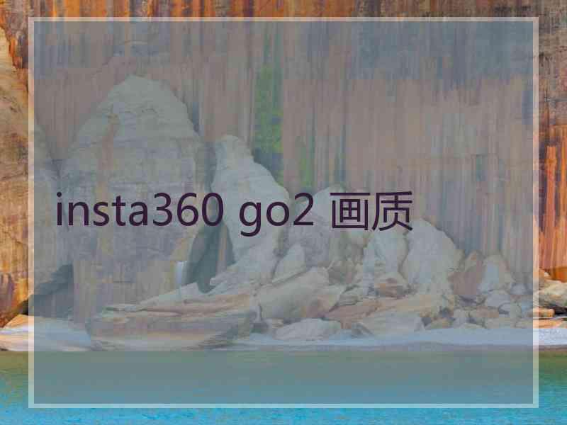 insta360 go2 画质