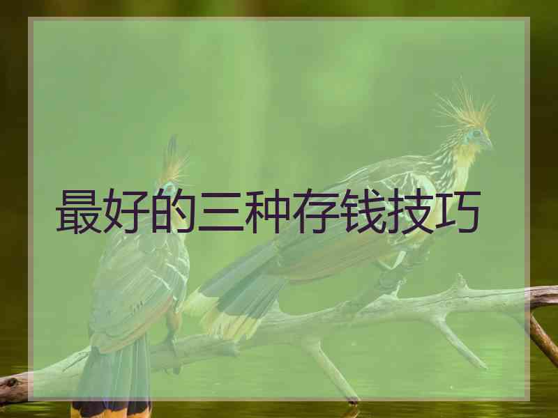 最好的三种存钱技巧