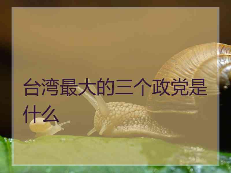 台湾最大的三个政党是什么